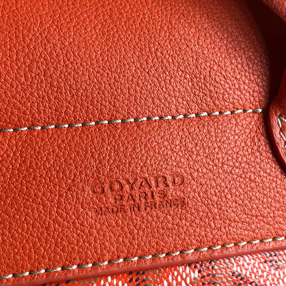 Goyard Alpin Mini Backpack