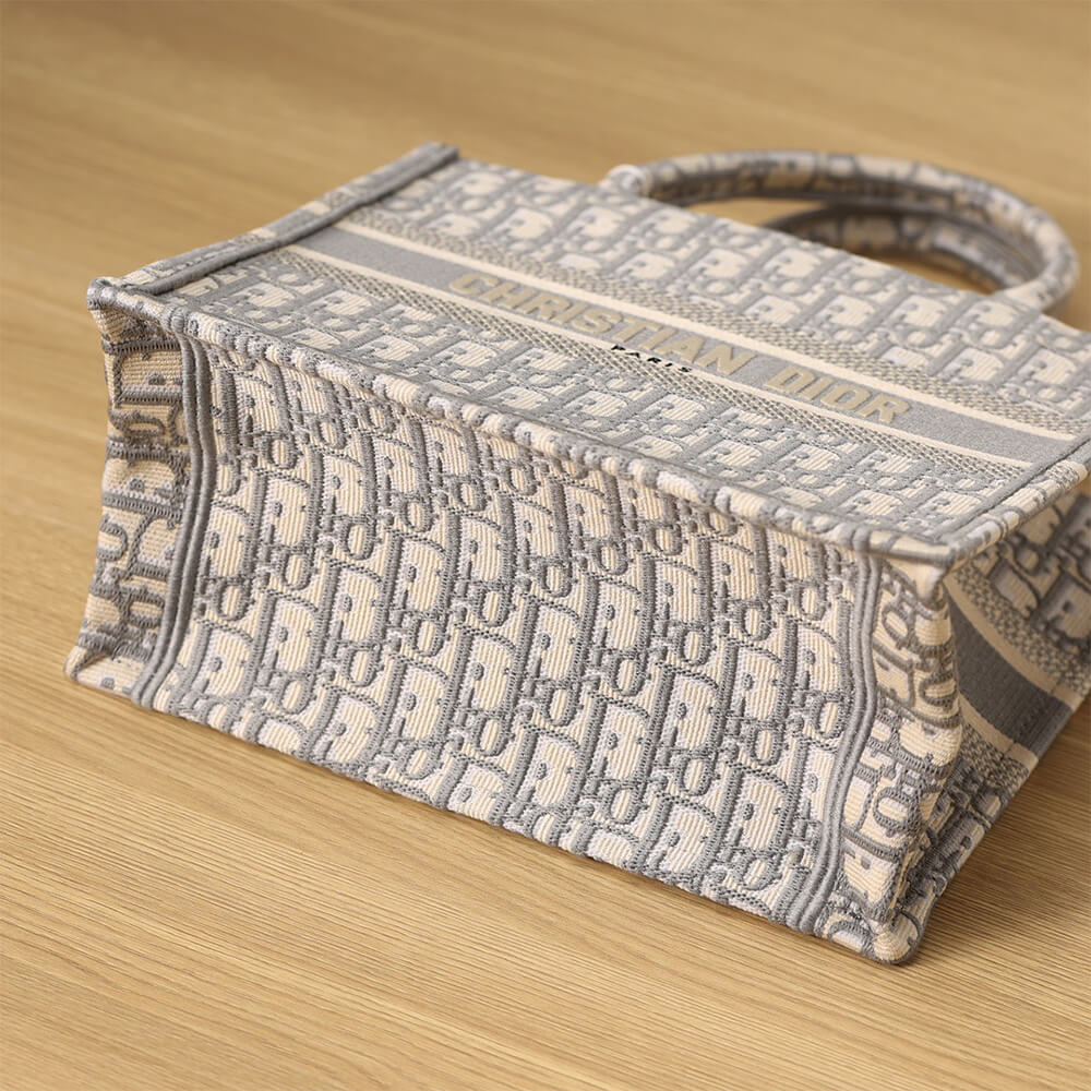 SMALL DIOR BOOK TOTE