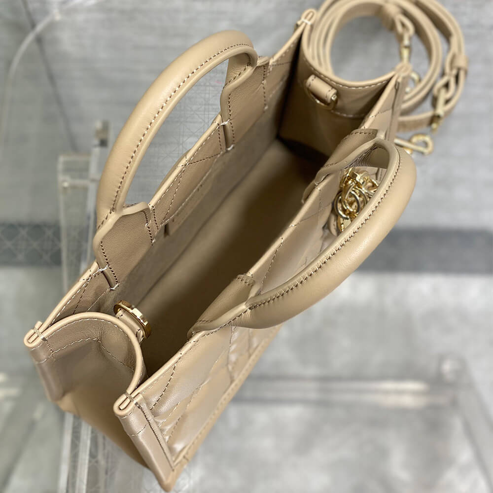 Mini Dior Book Tote