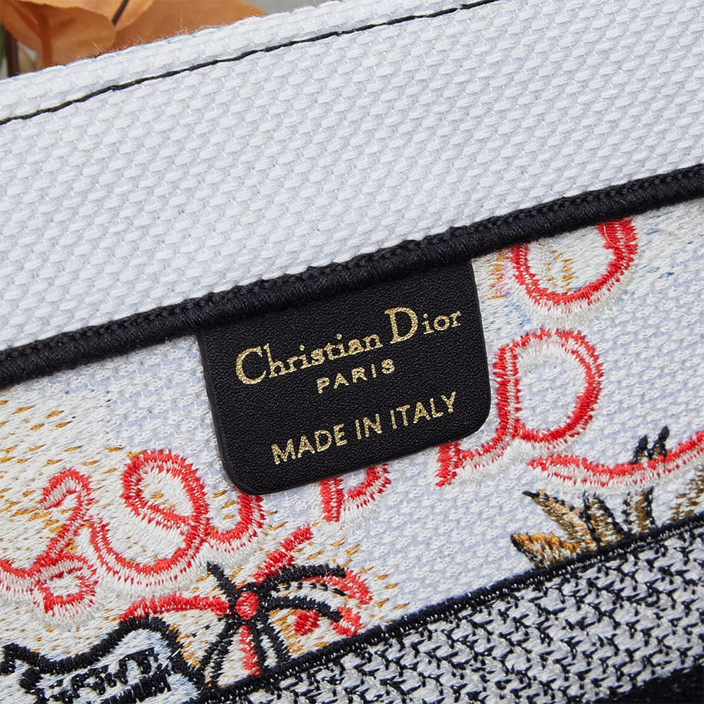 Dior Souvenir Medium Dior Book Tote