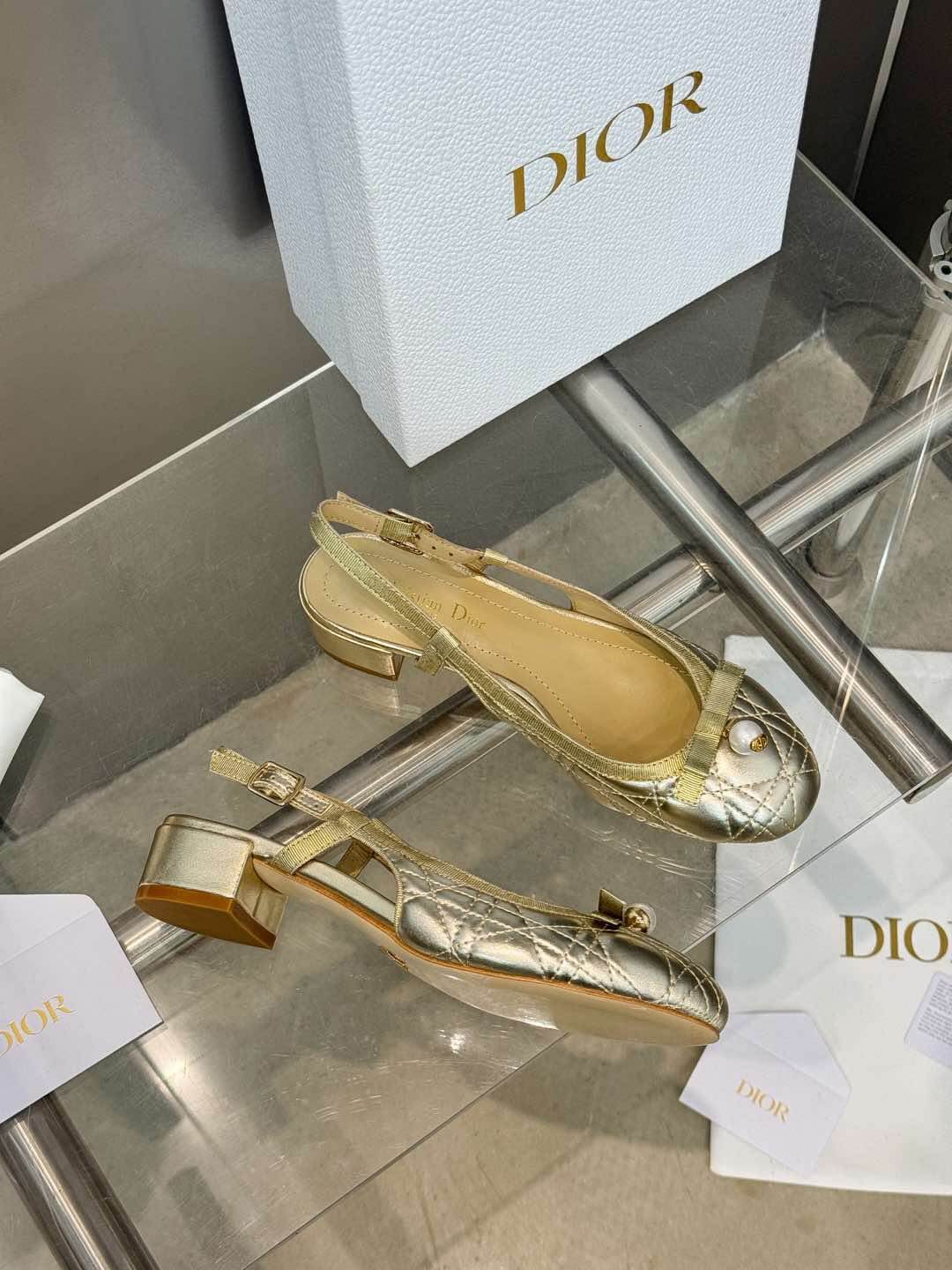 Dior Ballet Slingback Pump