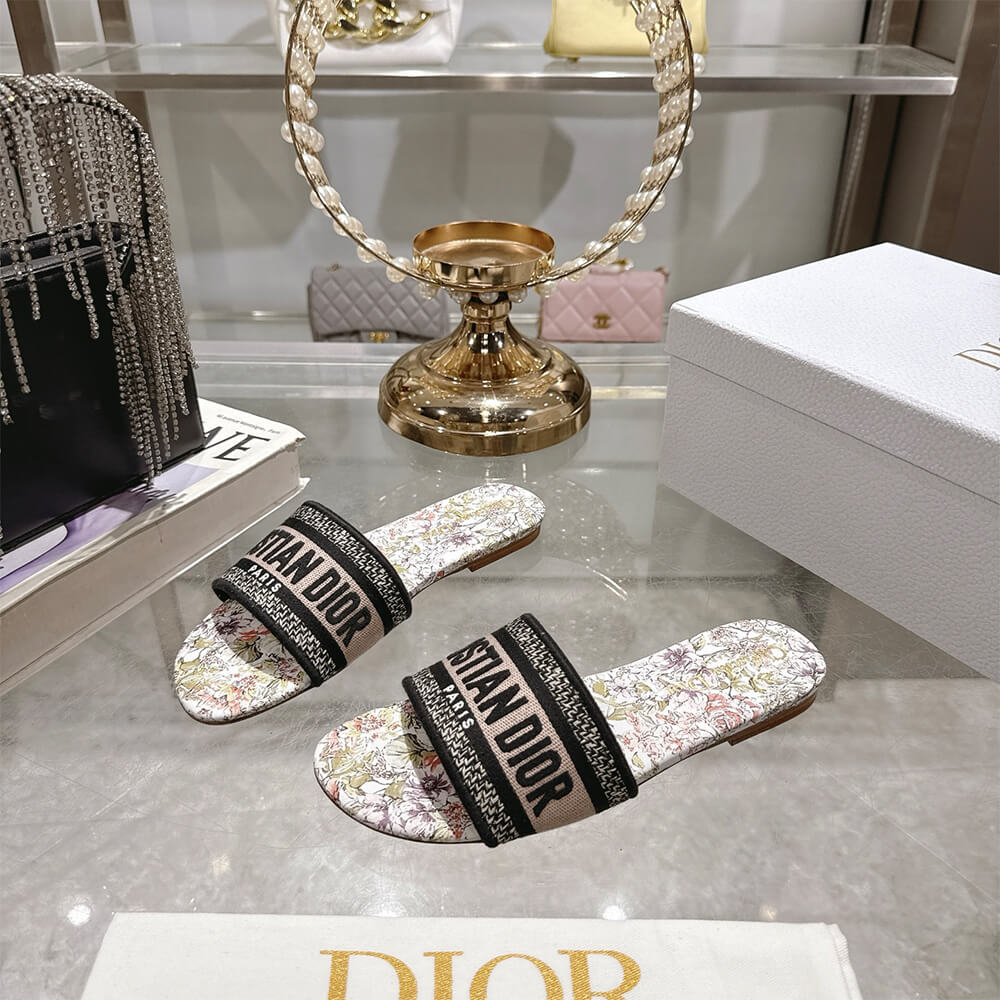 DIOR Dway Slide